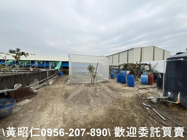 歸仁農舍-3