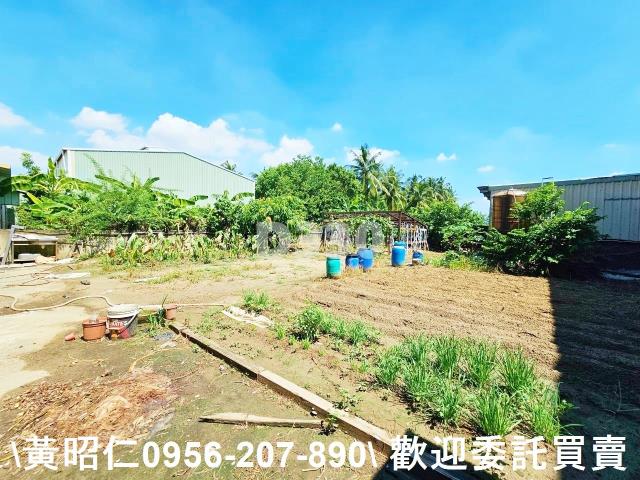 歸仁農舍-5