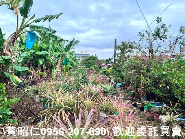 台南七股建地-0