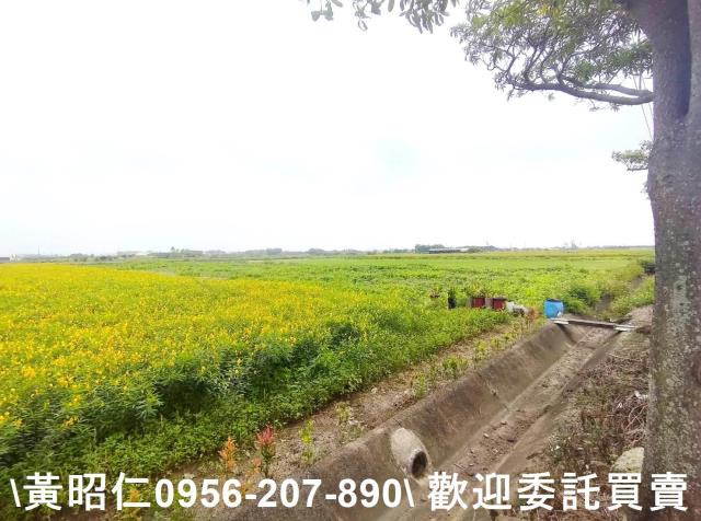 佳里農地-1
