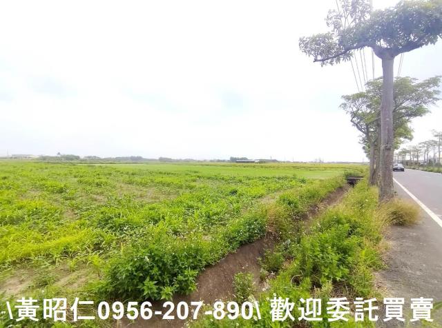 佳里農地-2