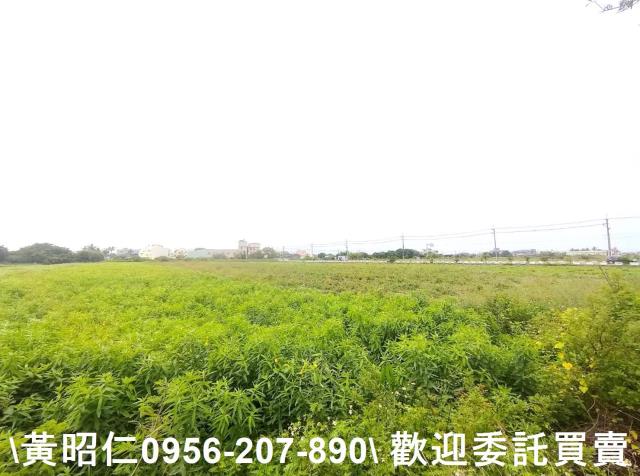 佳里農地-3