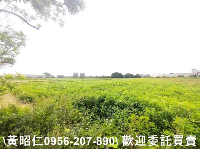 佳里農地-4