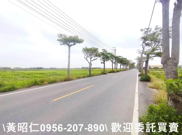 佳里農地-5