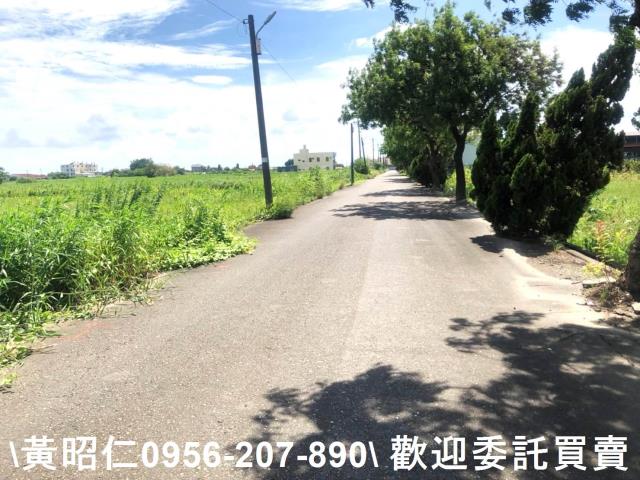 台南農地-5