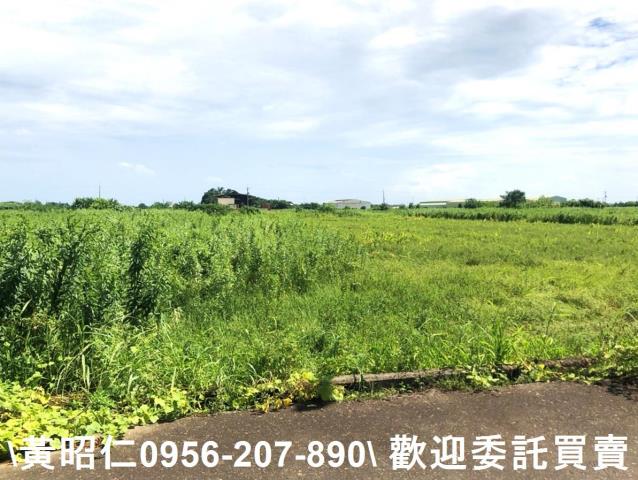 台南農地-6
