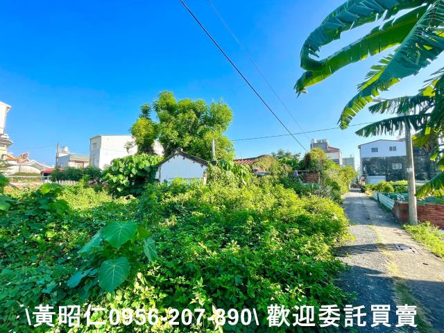 善化建地-4
