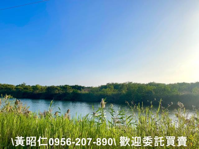 安南農地-2