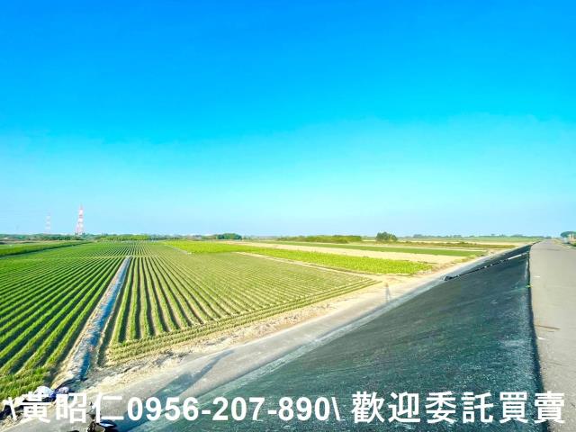 安南農地-0