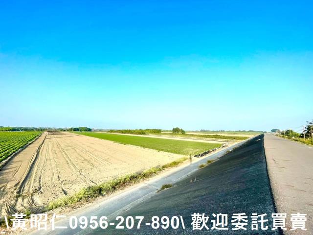 安南農地-5