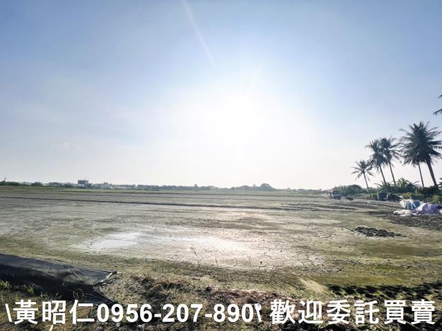 台南農地-7