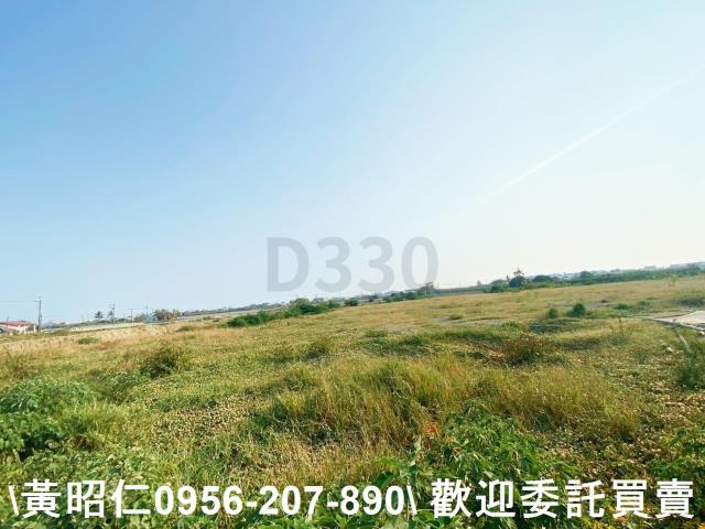 台南仁德農地-0