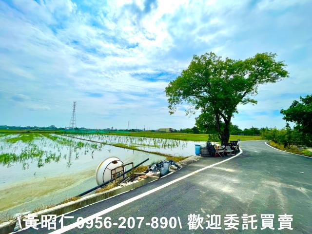 台南新化農地-5