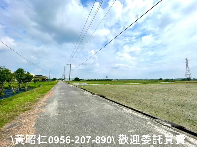台南新化農地-6