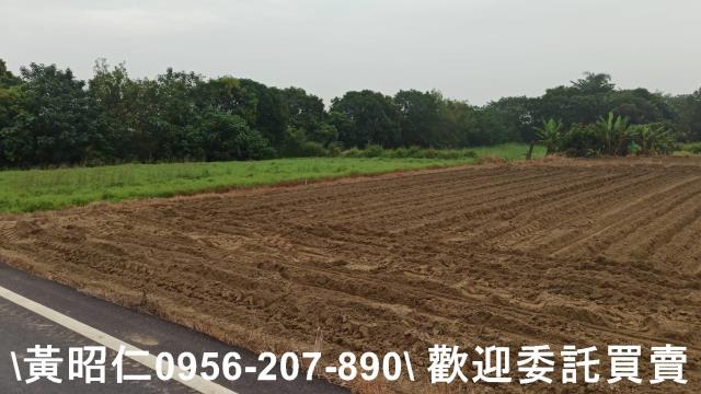 台南新市農地-9