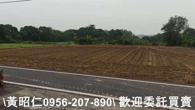 台南新市農地-10