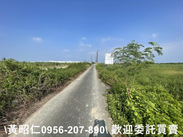 台南新市農地-1