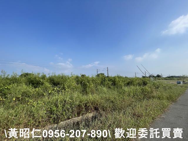 台南新市農地-2