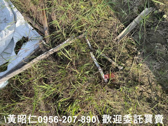 台南新市農地-7