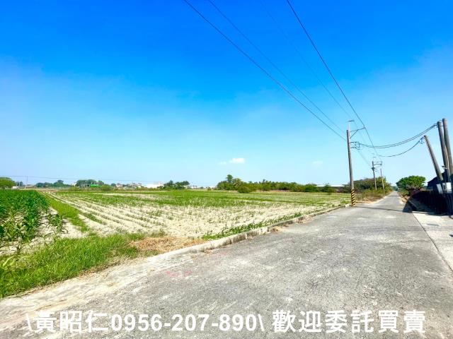 台南西港農地-3
