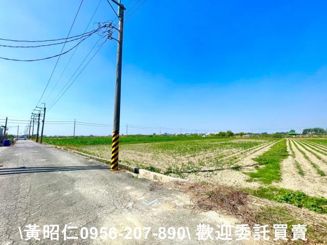 台南西港農地-5
