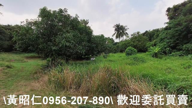 台南農地-12
