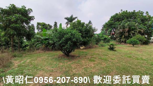 台南農地-14