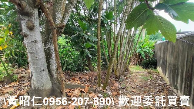 台南農地-0