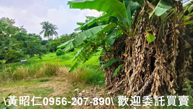 台南農地-1