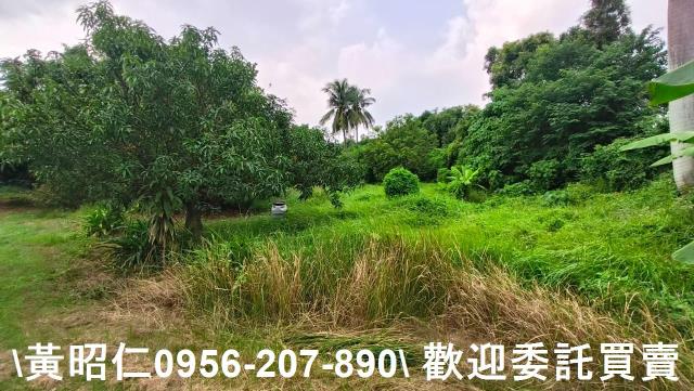 台南農地-3