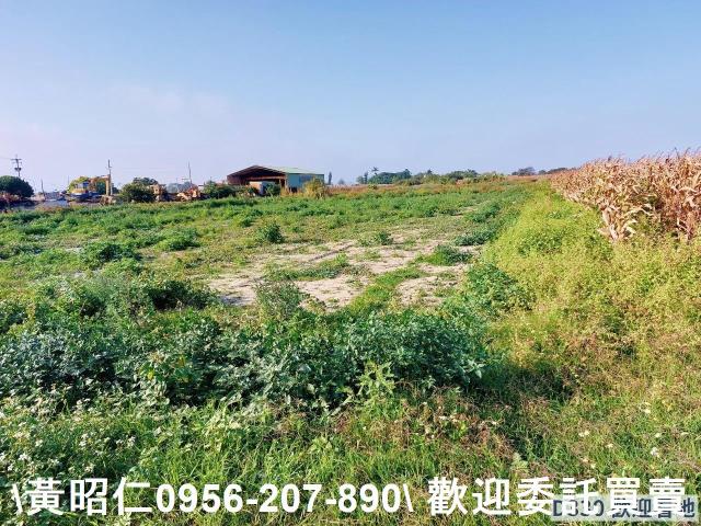 七股農地-7