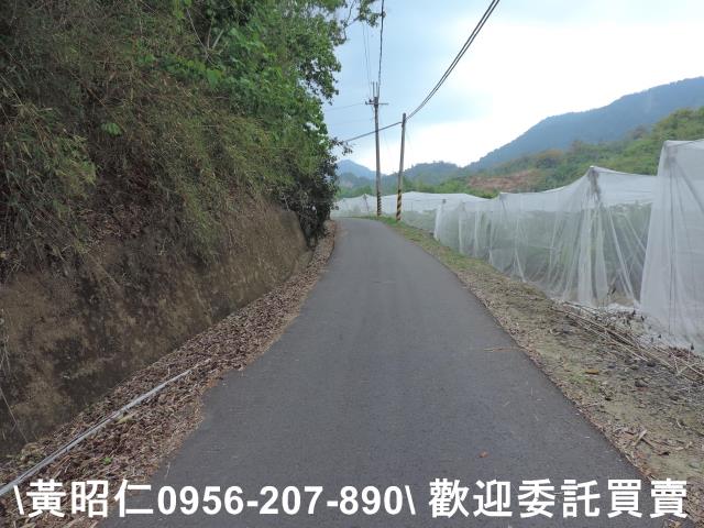 玉井農地-11