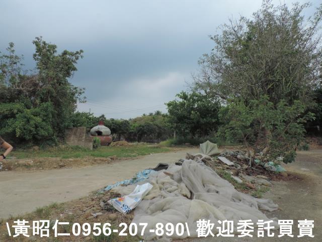 台南農地-10