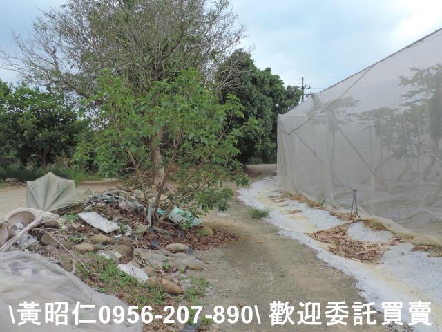 台南農地-11