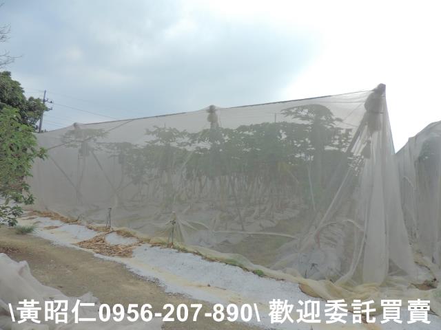 台南農地-1