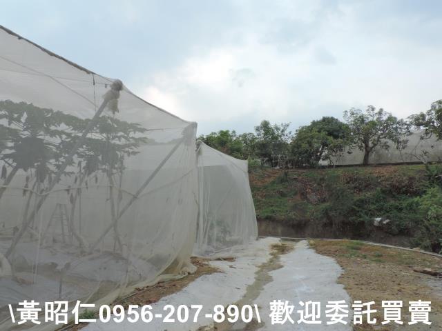 台南農地-7