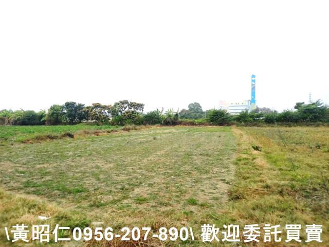 新化農地-0