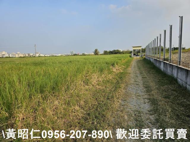 台南仁德農地-2