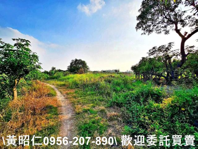 台南仁德農地-3