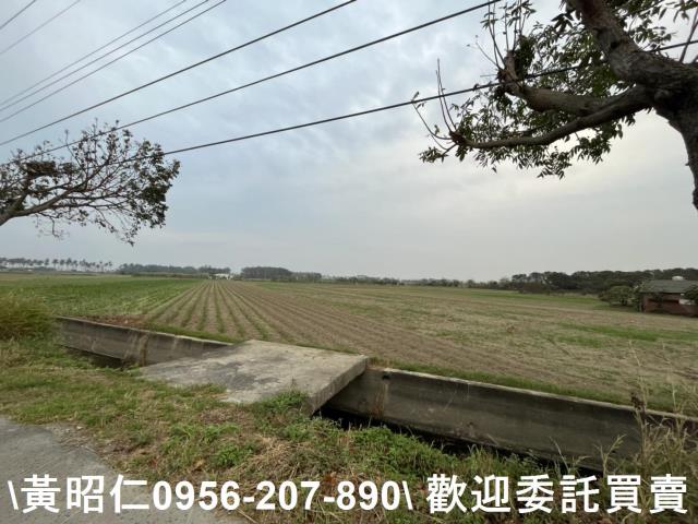 台南西港農地-0