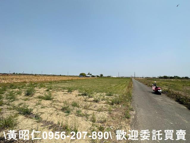 台南新市農地-0