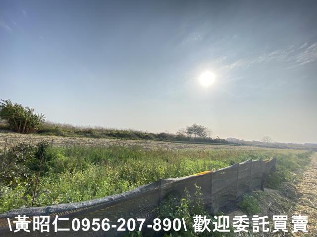 台南安南農地-4