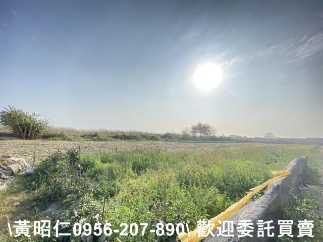 台南安南農地-5