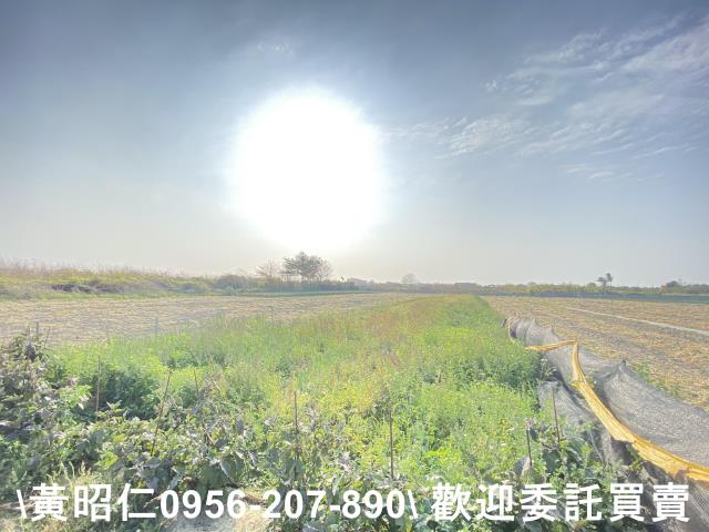 台南安南農地-6