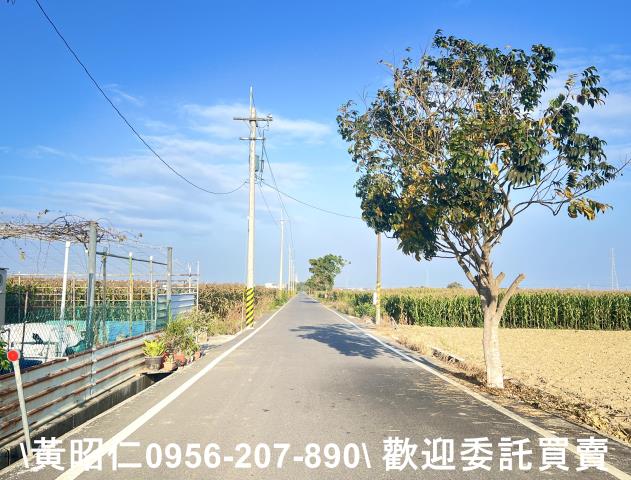 新營農地-1