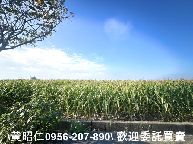 新營農地-2