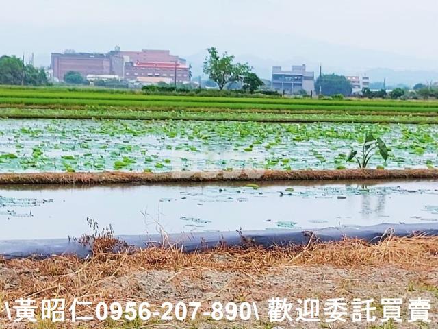 台南農地-10
