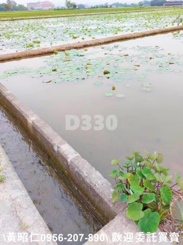 台南農地-14