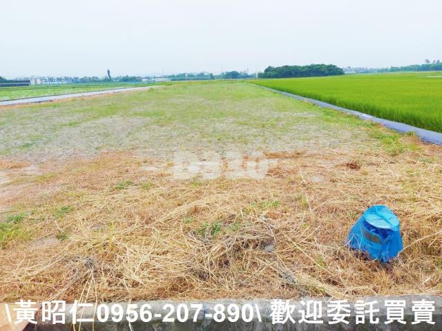 台南農地-0