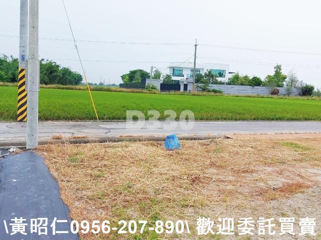 台南農地-5